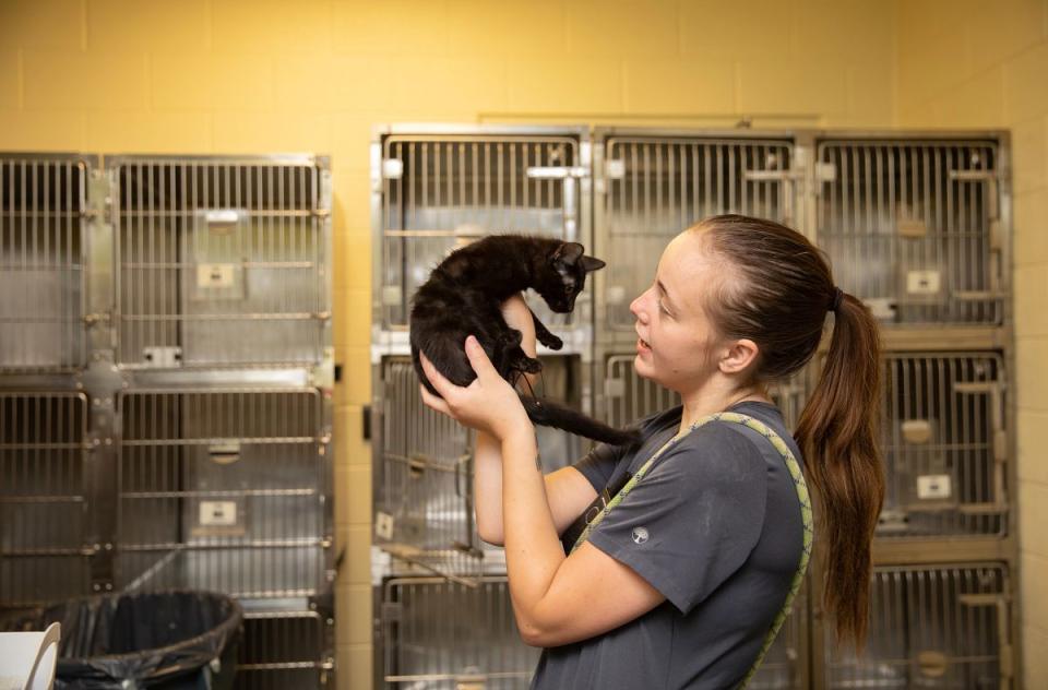 A woman gently holds a black kitten up in front of kennels.